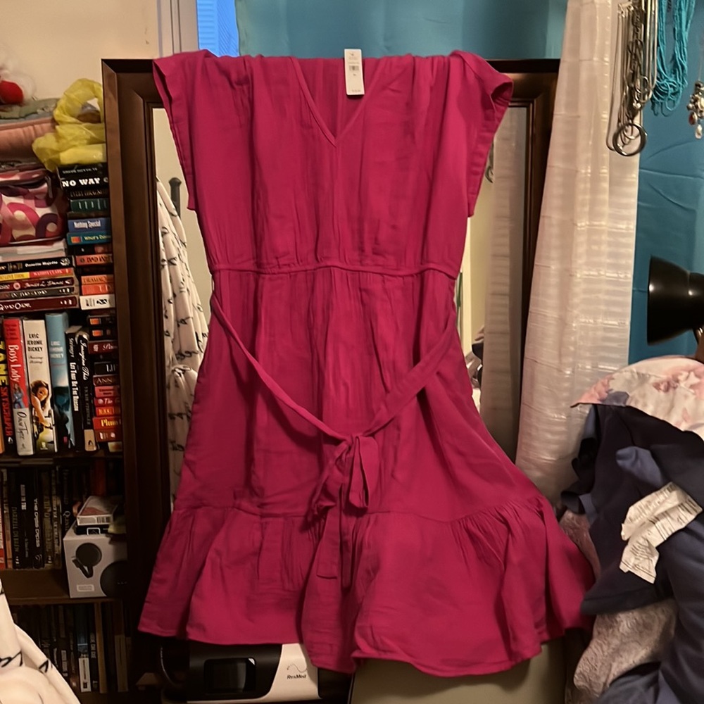 Gap dress